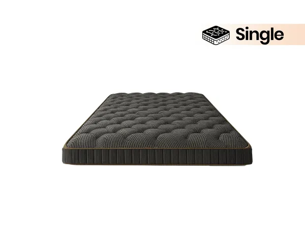 Hugo Solid Wood Diwan with 4 Inches Mattress